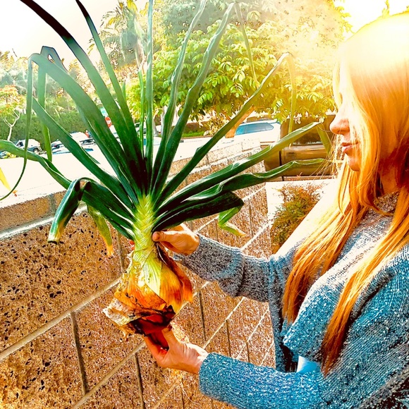 Meet your Posher, Kathryn - Picture 14 of 14